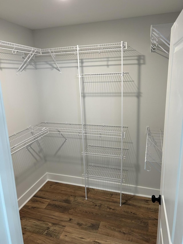 spacious closet featuring wood finished floors