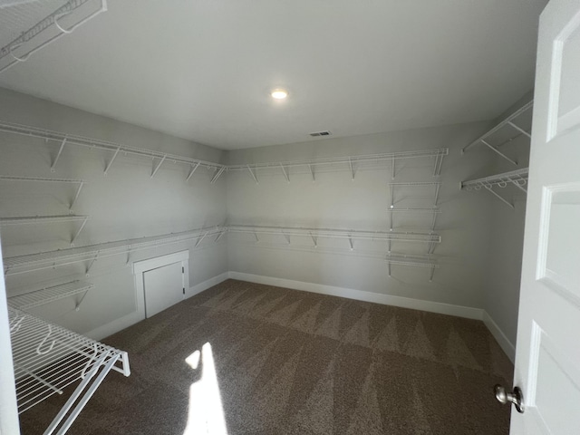 spacious closet with carpet