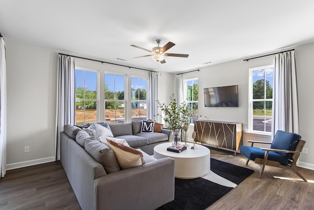 living room featuring ceiling fan, dark hardwood / wood-style flooring, and plenty of natural light