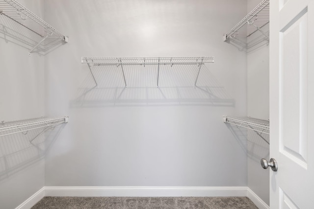 1070 Moss Grove Dr, Moncks Corner, SC 29461 - spacious closet with carpet floors