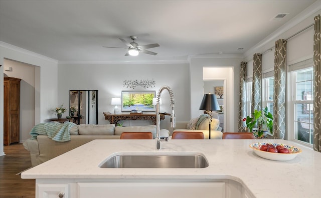 143 Daniels Creek Cir, Goose Creek, SC 29445 - kitchen with a sink, open floor plan, light stone countertops, ornamental molding, and wood finished floors