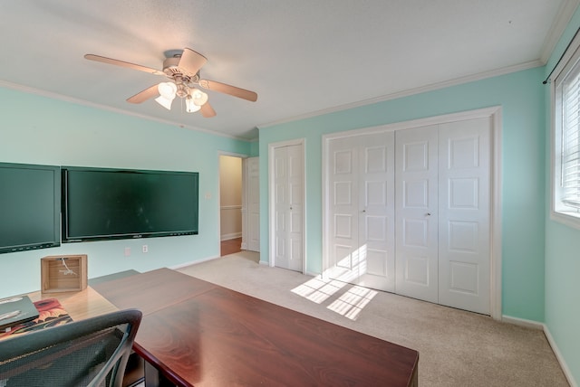 living room featuring light colored carpet, ceiling fan, and ornamental molding