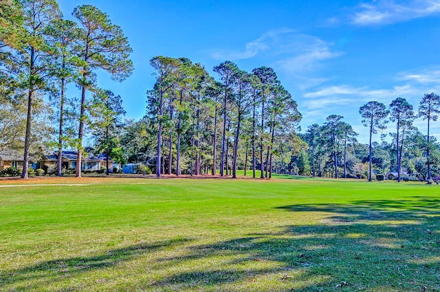 view of property's community with a yard