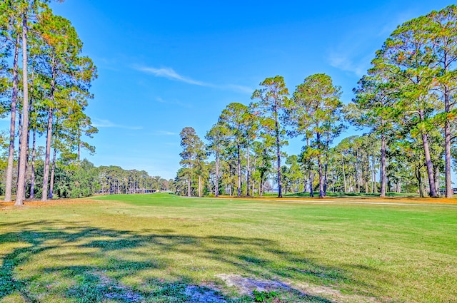 surrounding community featuring a yard