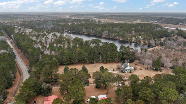 4689 Causey Pond Rd, Awendaw, SC 29429 - view of property location featuring a nearby body of water and a forest