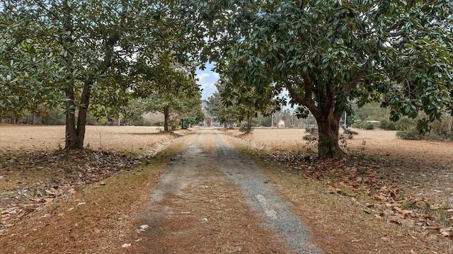 4689 Causey Pond Rd, Awendaw, SC 29429 - view of road