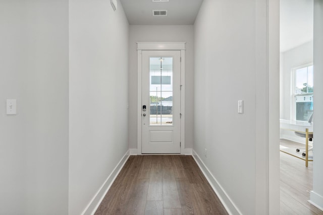 entryway featuring wood-type flooring