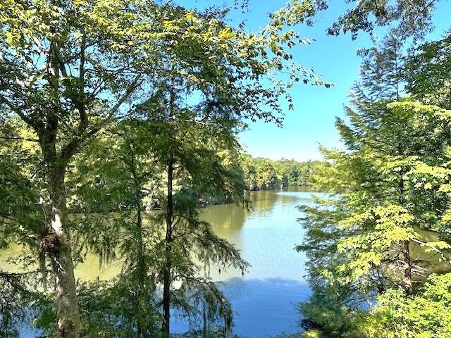 water view featuring a wooded view