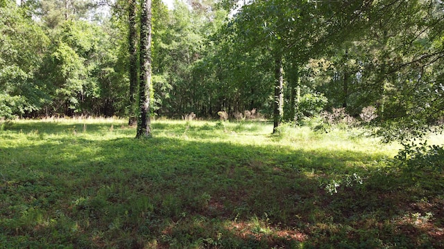 0 Redmond Hill Rd, North, SC 29112