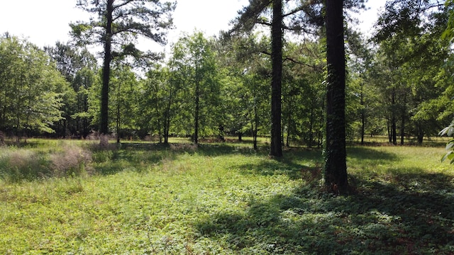 0 Redmond Hill Rd, North, SC 29112
