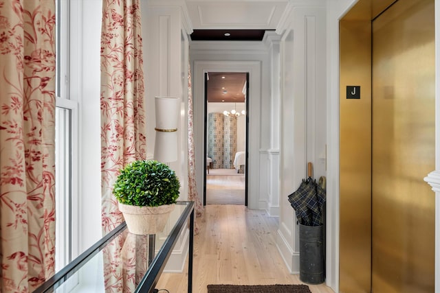 32 Prioleau St Unit J, Charleston, SC 29401 - corridor featuring elevator, light wood-type flooring, and ornamental molding