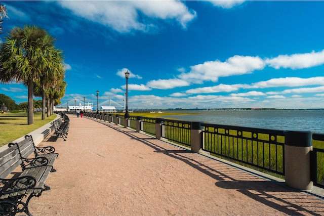32 Prioleau St Unit J, Charleston, SC 29401 - view of home's community with a water view and a yard