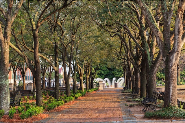 32 Prioleau St Unit J, Charleston, SC 29401 - view of community