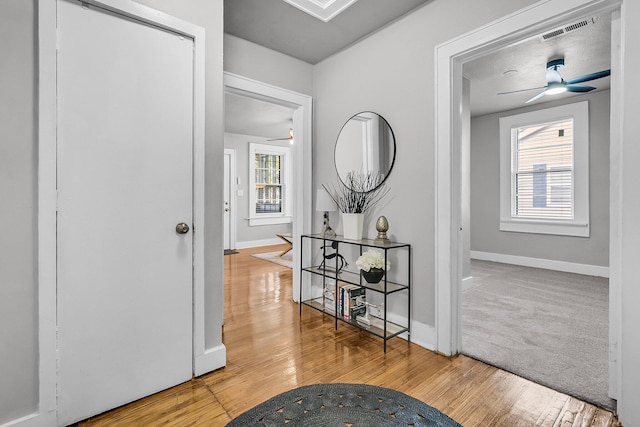 2215 Suffolk St, North Charleston, SC 29405 - hall with wood finished floors and baseboards