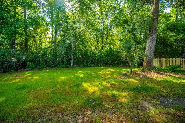 3769 Maidstone Dr, Mount Pleasant, SC 29466 - view of yard