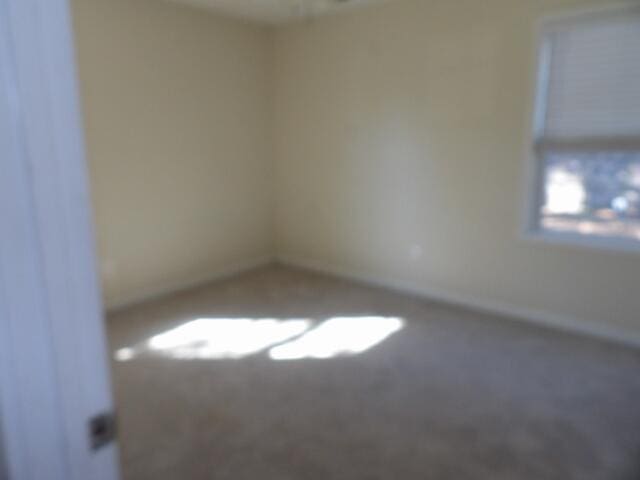 unfurnished room with carpet flooring