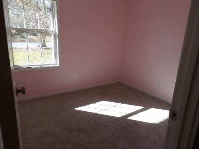 carpeted empty room with plenty of natural light