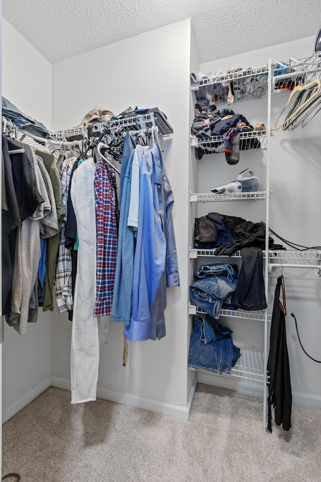 340 Stefan Dr, Charleston, SC 29412 - spacious closet featuring carpet