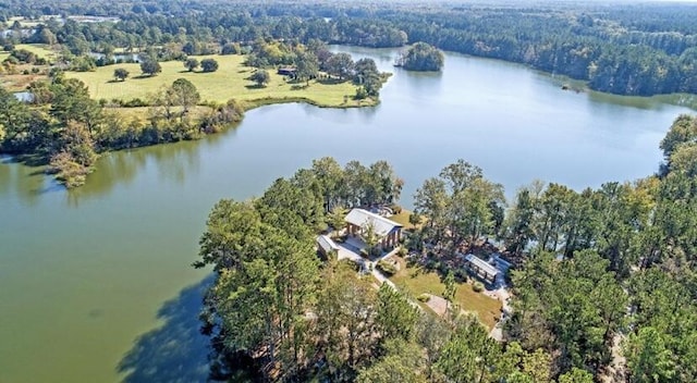 birds eye view of property with a water view and a forest view