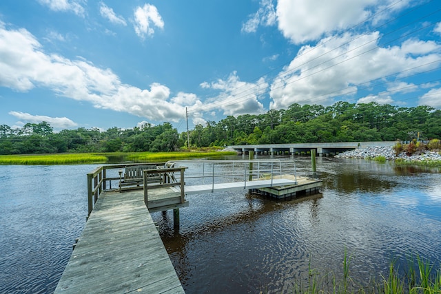 dock area with a water view