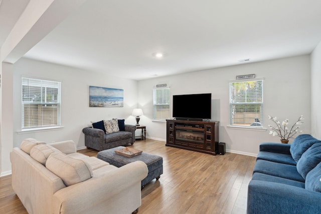 living room featuring a healthy amount of sunlight and light wood-type flooring