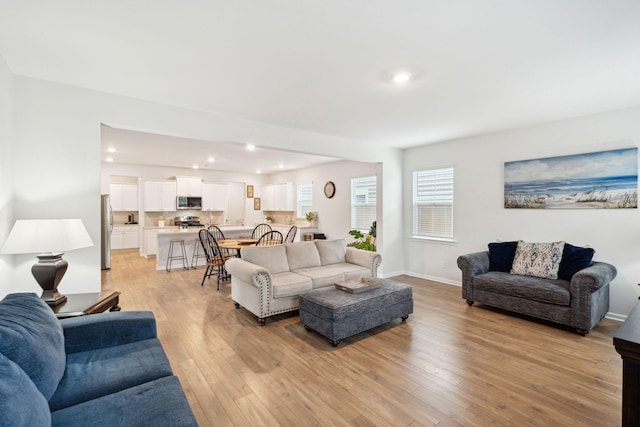 living room featuring light hardwood / wood-style flooring