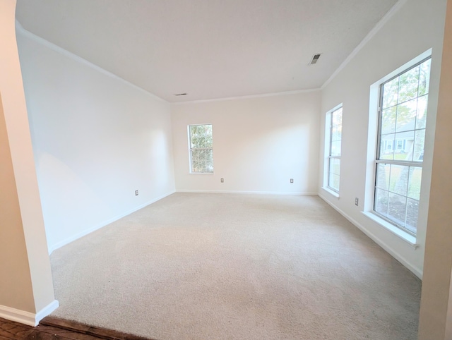 carpeted spare room featuring ornamental molding and a healthy amount of sunlight