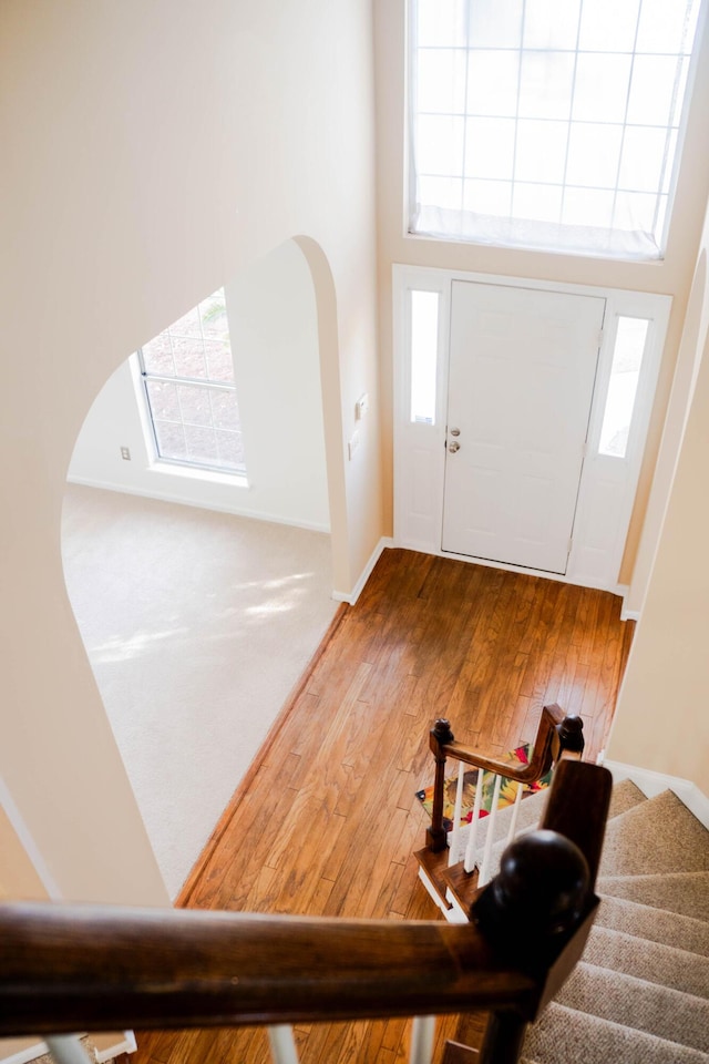 foyer featuring hardwood / wood-style flooring, plenty of natural light, and a towering ceiling