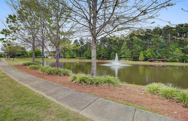129 Saluda Dr, Moncks Corner, SC 29461 - water view