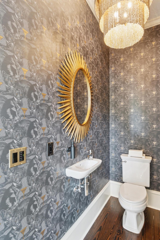 bathroom featuring sink, hardwood / wood-style floors, and toilet