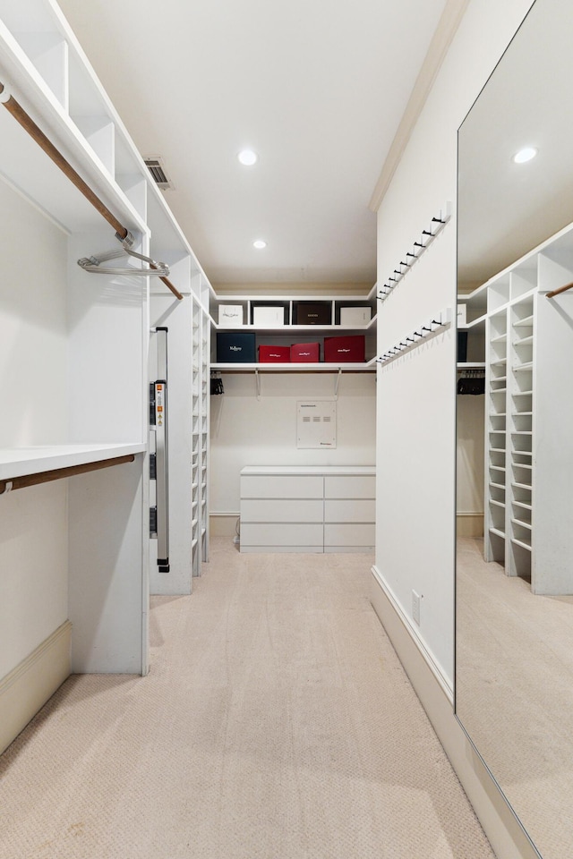 walk in closet featuring carpet floors