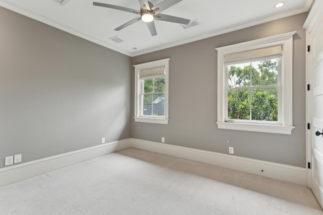 spare room featuring ornamental molding, ceiling fan, and carpet