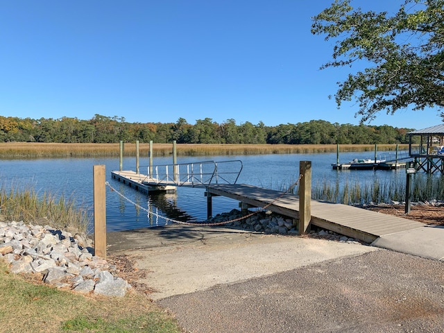 dock area with a water view