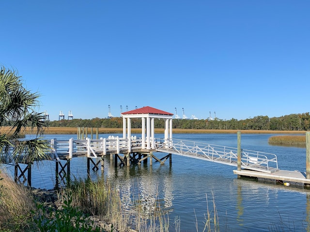 dock area with a water view