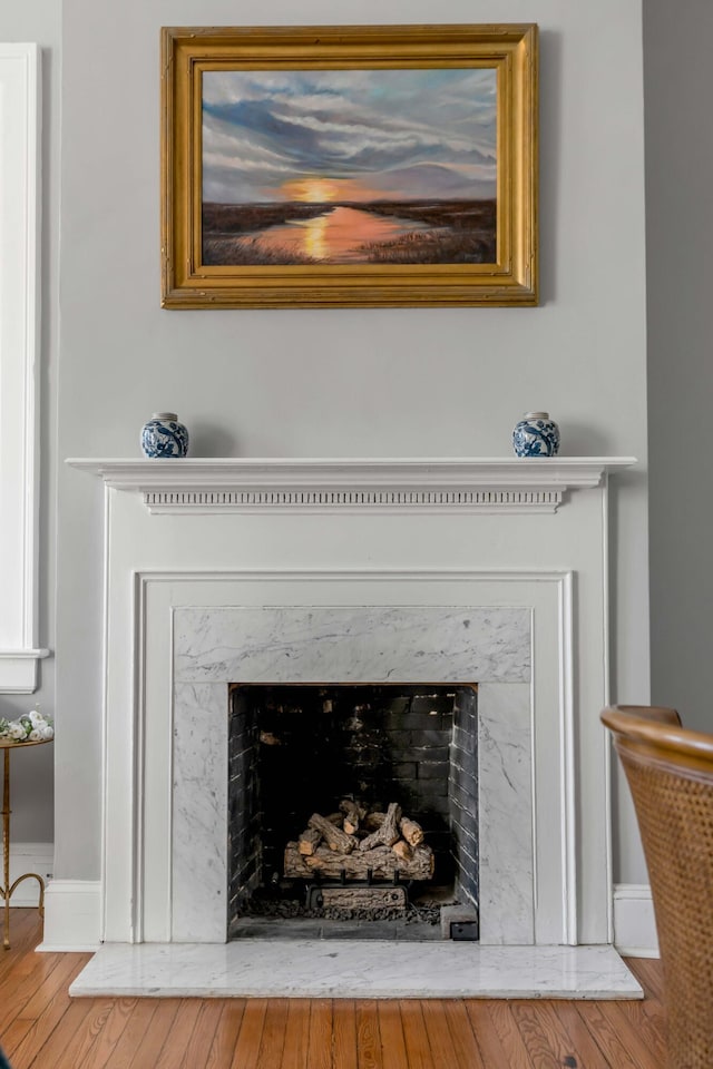 room details featuring wood-type flooring and a premium fireplace