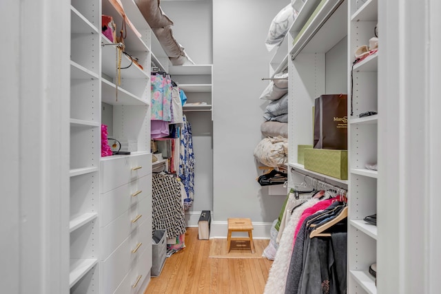 spacious closet featuring wood-type flooring