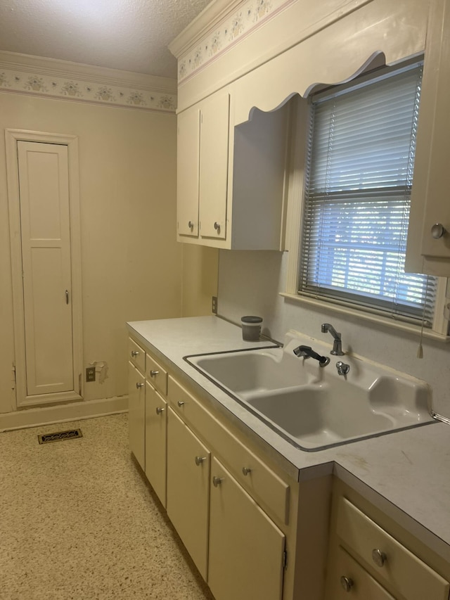 kitchen featuring baseboards, visible vents, light countertops, crown molding, and a sink