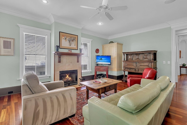 living room featuring dark wood-type flooring, ornamental molding, and a fireplace