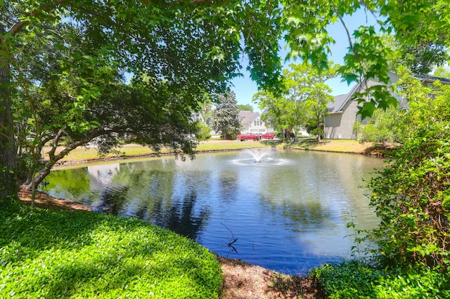property view of water