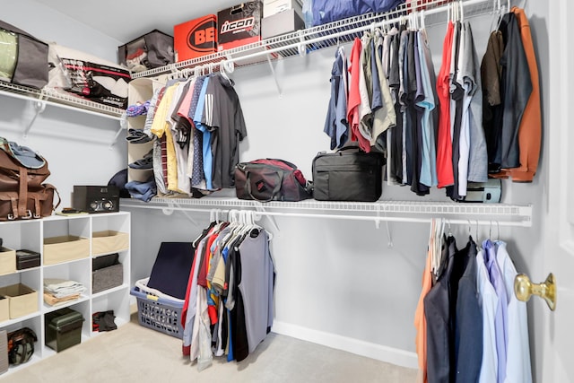 view of spacious closet