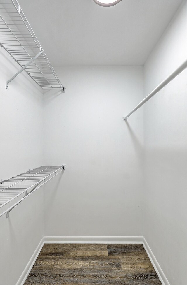 202 Greenmeadow Dr, Goose Creek, SC 29445 - spacious closet featuring dark wood-style flooring