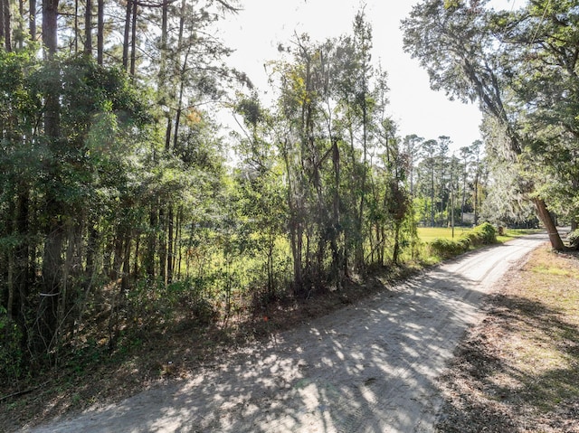 46 Leo Green Rd, Beaufort SC, 29906 land for sale