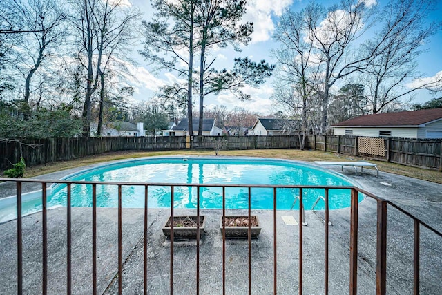 view of swimming pool with a patio and a diving board