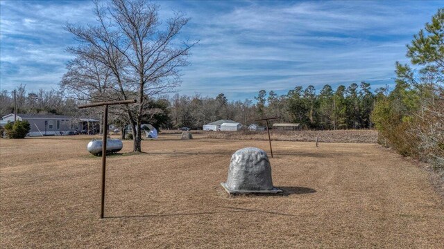 2830 Wire Rd, Saint George, SC 29477 - view of yard