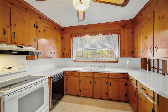 2830 Wire Rd, Saint George, SC 29477 - kitchen featuring dishwasher, sink, and electric range