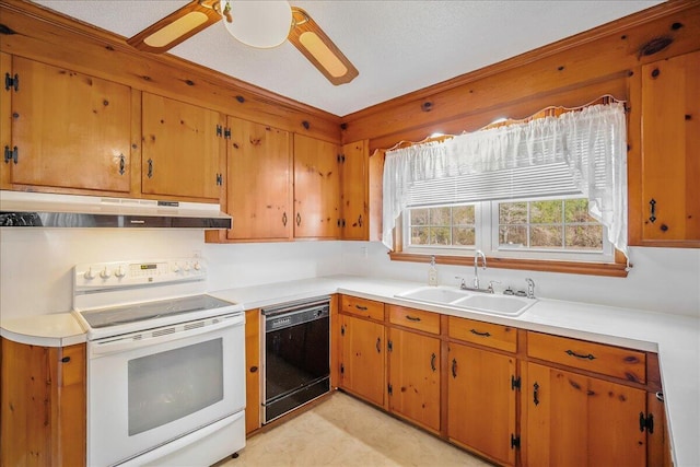 2830 Wire Rd, Saint George, SC 29477 - kitchen with electric stove, ceiling fan, dishwasher, and sink