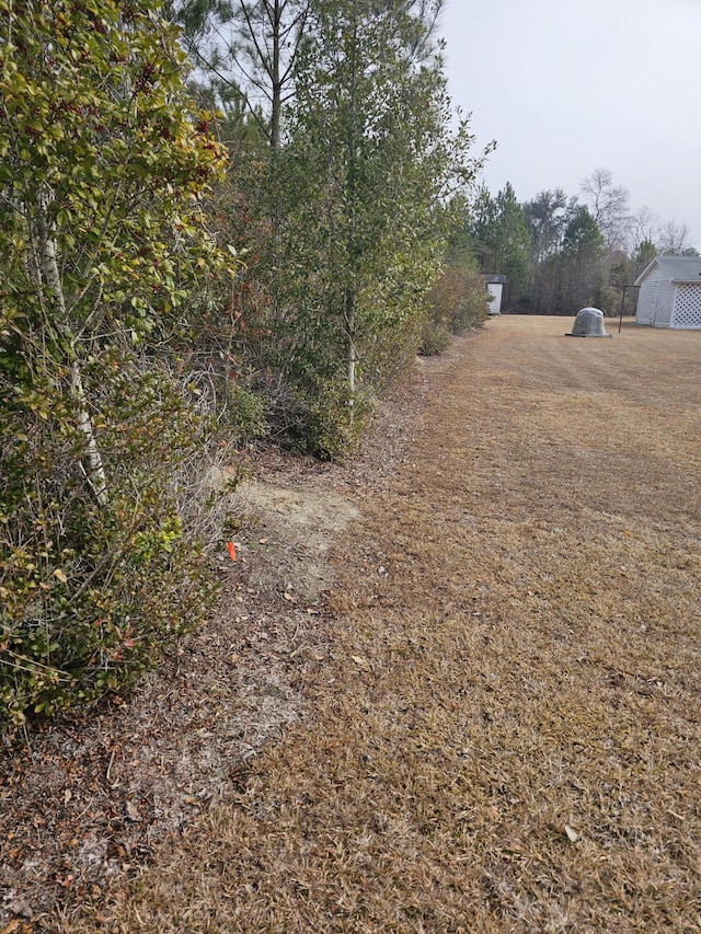 2830 Wire Rd, Saint George, SC 29477 - view of yard