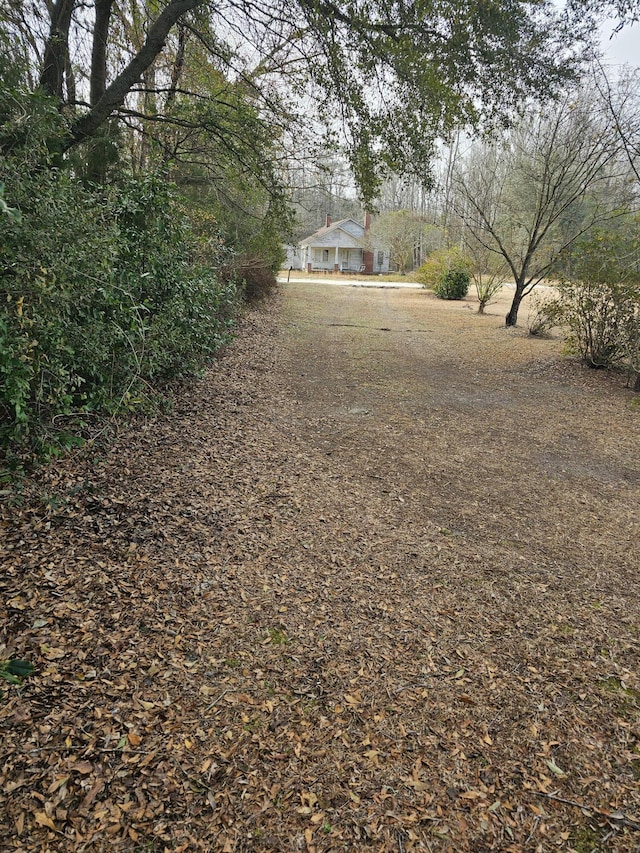 2830 Wire Rd, Saint George, SC 29477 - view of yard