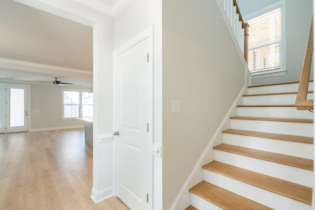 staircase featuring ceiling fan, wood-type flooring, and ornamental molding