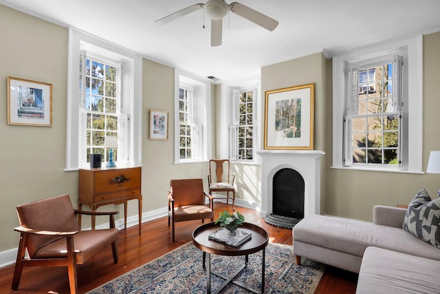 living area featuring ceiling fan and hardwood / wood-style floors